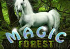 Magic Forest