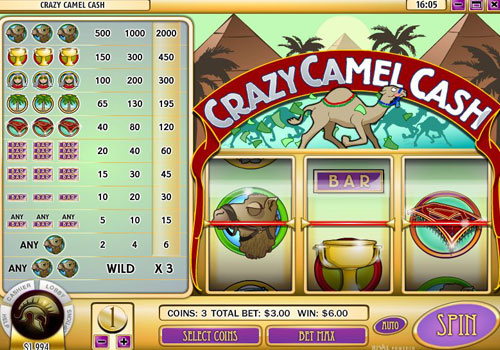 crazy-camel-cash