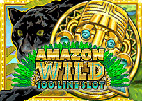 Amazon Wild