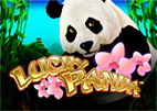 Lucky Panda