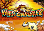 Wild Gambler