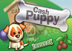 Cash Puppy