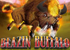 blazin buffalo