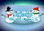 Winter Wonders