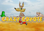 Crazy Coyote