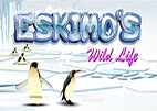 Eskimo’s Wild Life