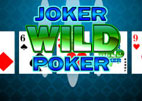 Joker Wild Poker