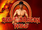 red dragon wild