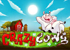 crazy cows