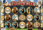 posh pets
