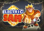 electric sam