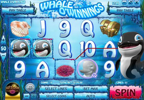 whale o winnings