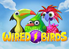 Wired Birds