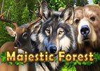 majestic forest