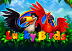 lucky birds