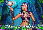 magic forest