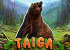 taiga