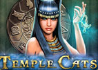 Temple Cats