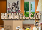 bennythecat