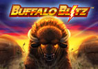 buffalo-blitz