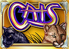 cats
