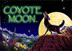 coyote-moon