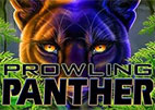 prowling-panther
