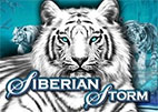 siberian-storm