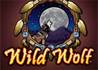wild-wolf