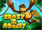 crazy-monkey-2