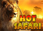 hot-safari
