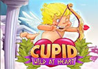 cupid-wild-heart