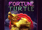 fortune-turtle