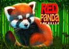 red-panda