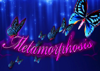 metamorphosis