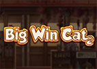 big-win-cat