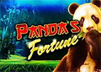 panda-fortune