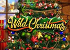 machine a sous wild christmas
