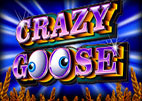 crazy-goose