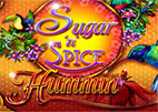 sugar-n-spice-hummin
