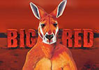 bigred
