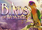 birds-of-wonder