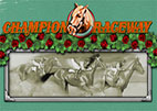 champion-raceway