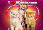 i-love-kittens