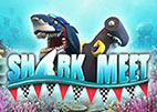 shark-meet