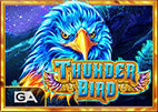 thunder-bird