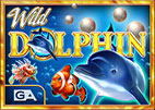 wild-dolphin
