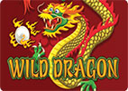 wild-dragon