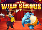 wild-circus