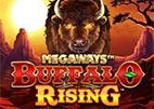 buffalo